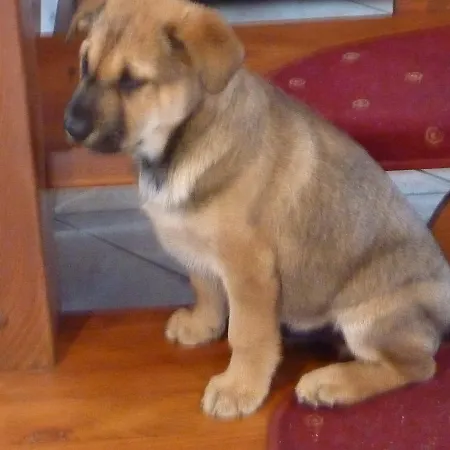 Nad Rzeczka 3* Miłków