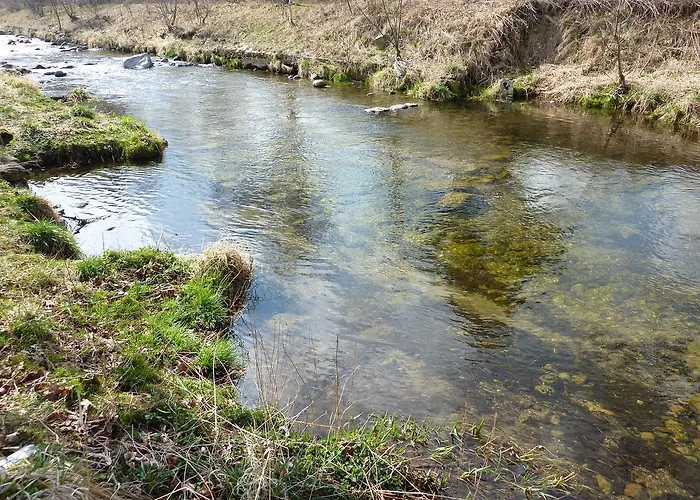 Nad Rzeczka Milkow (Lower Silesia)