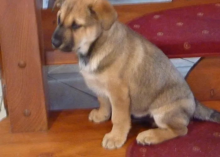 Nad Rzeczka 3* Milkow (Lower Silesia)